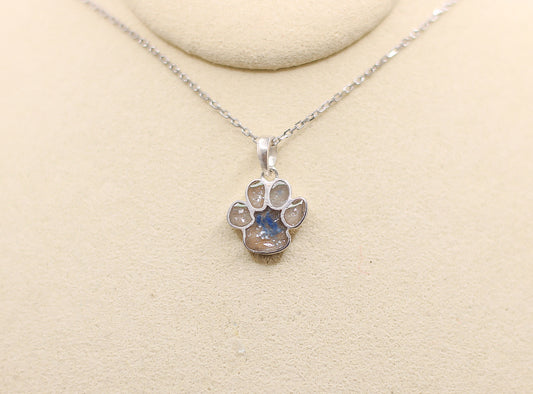 Pawprints on my heart