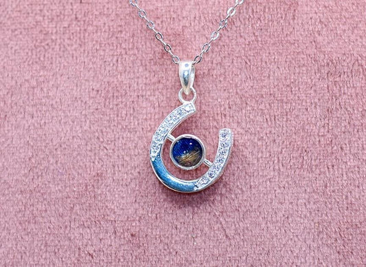 Horseshoe Memorial Necklace for Ashes, Hair, Fabric, Breastmilk